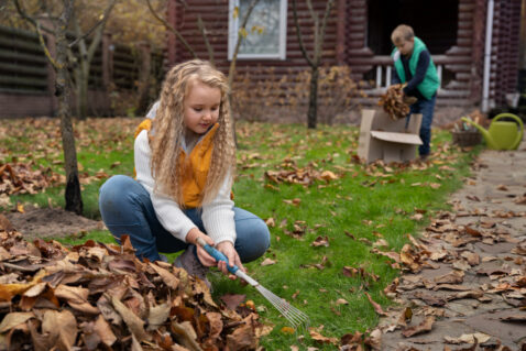 Quand préparer votre jardin pour l’automne