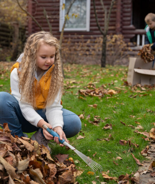 Quand préparer votre jardin pour l’automne